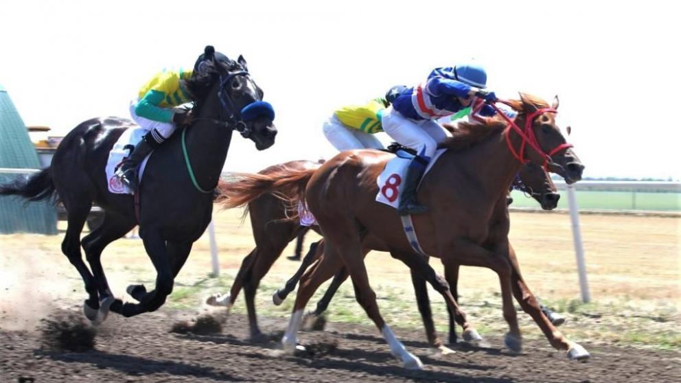 В Новоселицком округе прошли скачки «Золотая подкова Ставрополья»