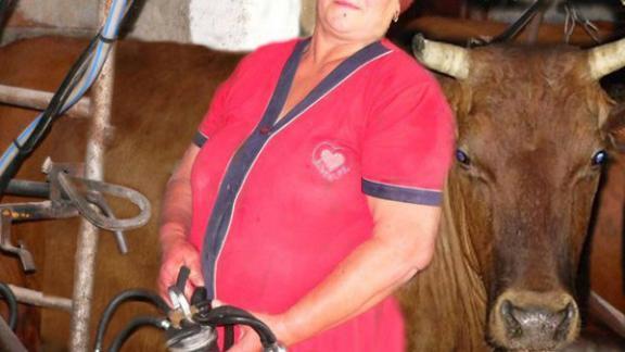 9 октября - День работника сельского хозяйства и перерабатывающей промышленности