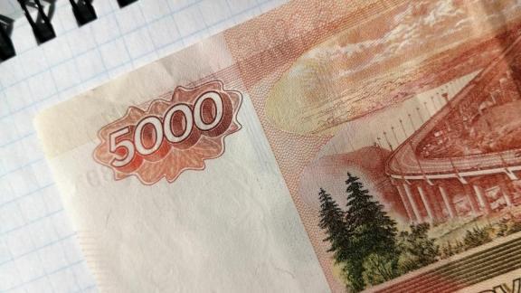 Многодетная ставропольчанка рассказала о процессе получения «школьных» выплат