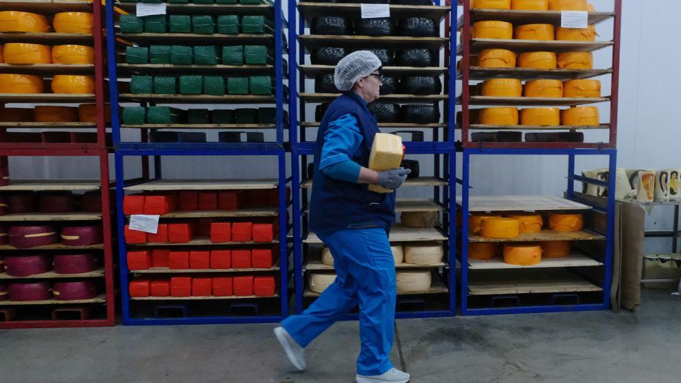 В селе Дубовая Балка на Ставрополье откроют цех переработки молочной продукции