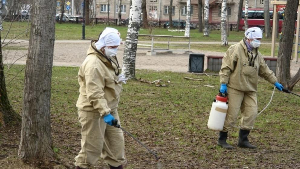 Полмиллиона рублей распылят минераловодские дезинфекторы