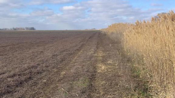 На Ставрополье предпринимателя осудили за хищение более 2,6 млн рублей сельхозсубсидий