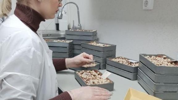 Аграрии Александровского округа начали готовиться к весеннему севу