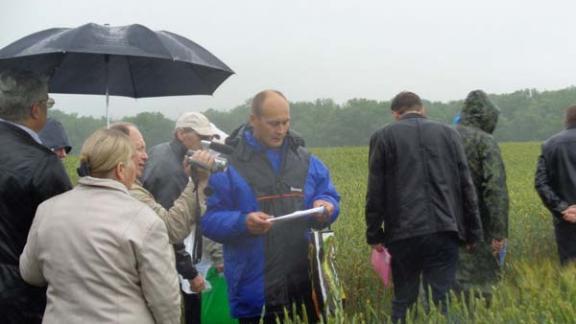«День поля – 2016» прошел в Александровском районе
