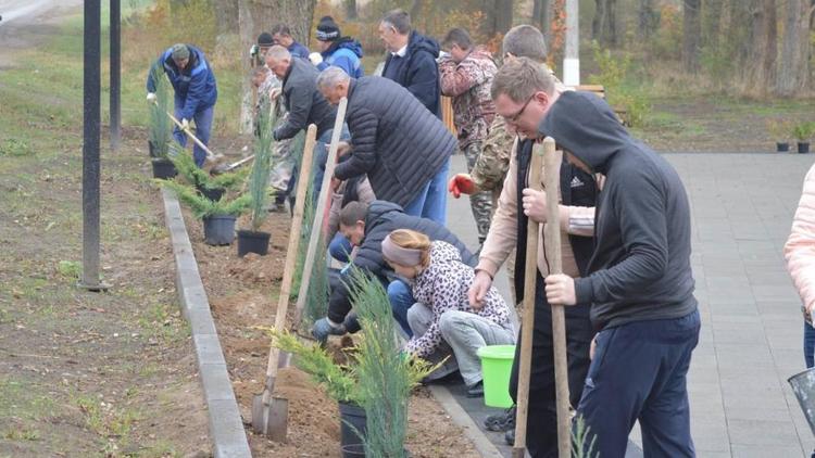 В селе Красногвардейском озеленили парковую зону