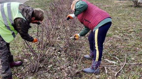 В Ставрополе готовят клумбы к весенней высадке цветов