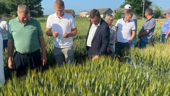 В Новоалександровском округе Ставрополья прошел объезд хлебных полей
