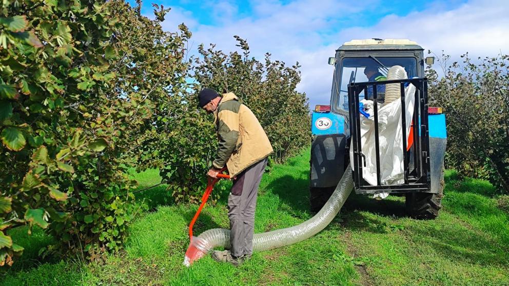 На Ставрополье продолжается закладка новых ореховых садов