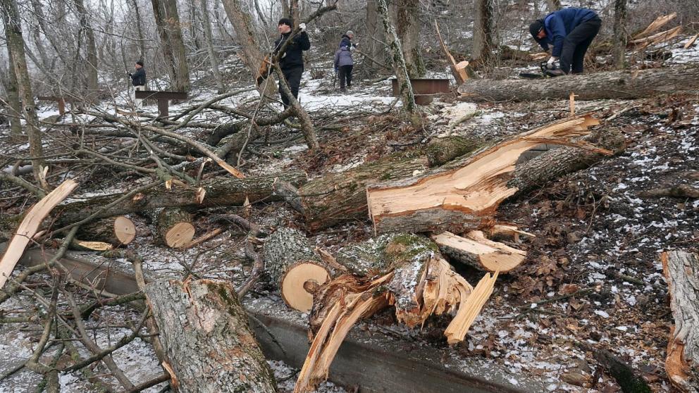 В Железноводске очистили от сломанных веток более трёх километров терренкуров
