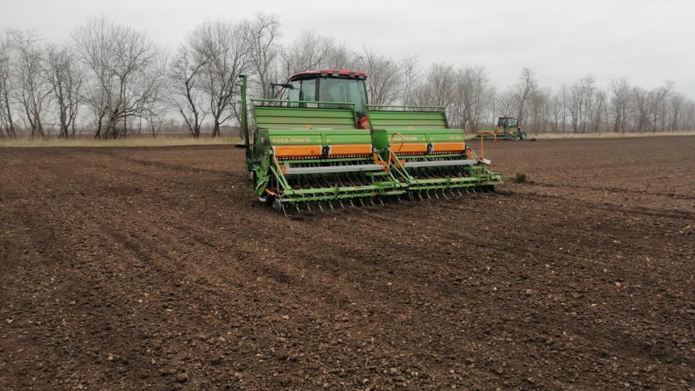В Кочубеевском округе Ставрополья завершён сев гороха и яровых культур