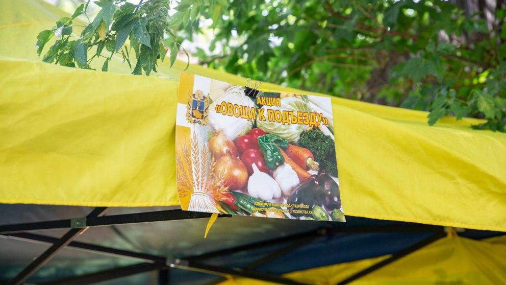 Около 70 площадок акции «Овощи к подъезду» работают в Ставрополе