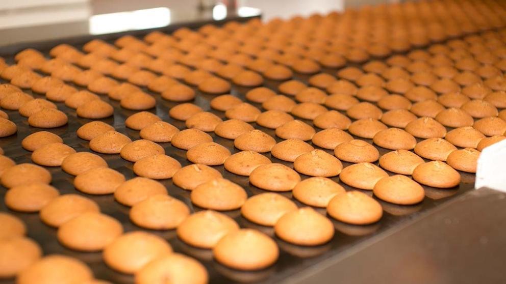 На Ставрополье начата работа в рамках «прорывного» проекта «Создание и развитие агропромышленного кластера»