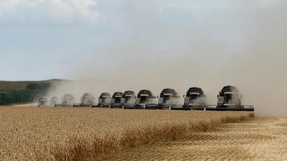 В Шпаковском округе Ставрополья собрали рекордные 312 тысяч тонн зерна