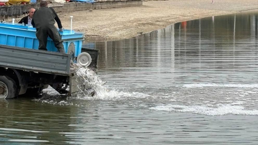 В Ессентуках выпустили в городское озеро 350 килограммов рыбы