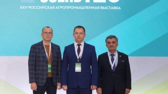 Ветеринары Ставрополья получили высокую награду за локализацию очагов бешенства животных