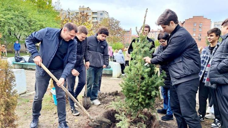 В Минераловодском округе озеленяют общественные пространства из компенсационных средств