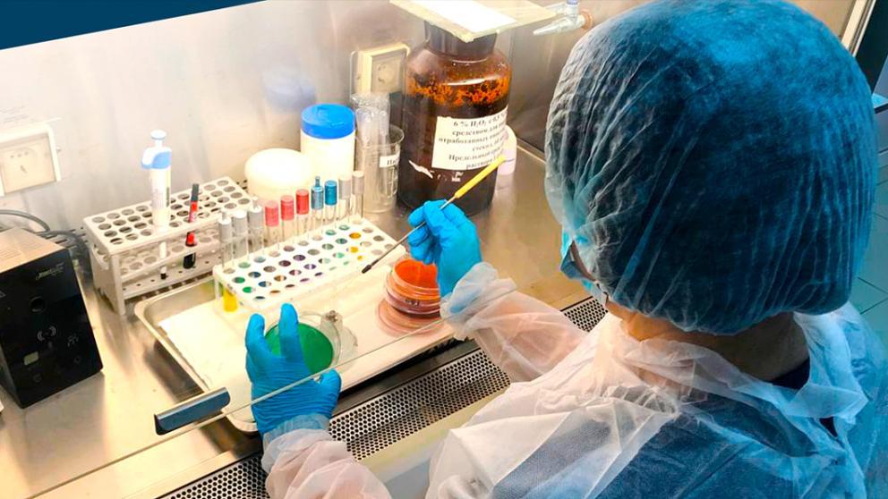 В рамках фитосанитарного мониторинга на Ставрополье выявлен бактериальный ожог плодовых