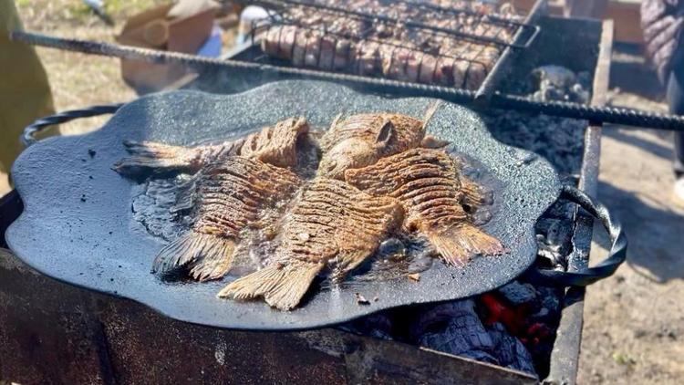Рыболовный конкурс-фестиваль прошел в Апанасенковском округе Ставрополья