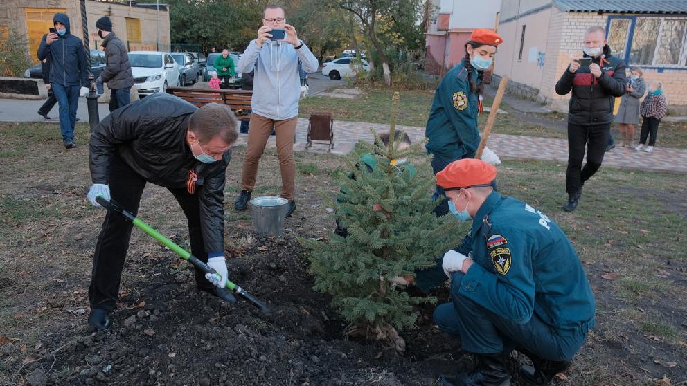 В Ставрополе в День народного единства высадили еловую аллею