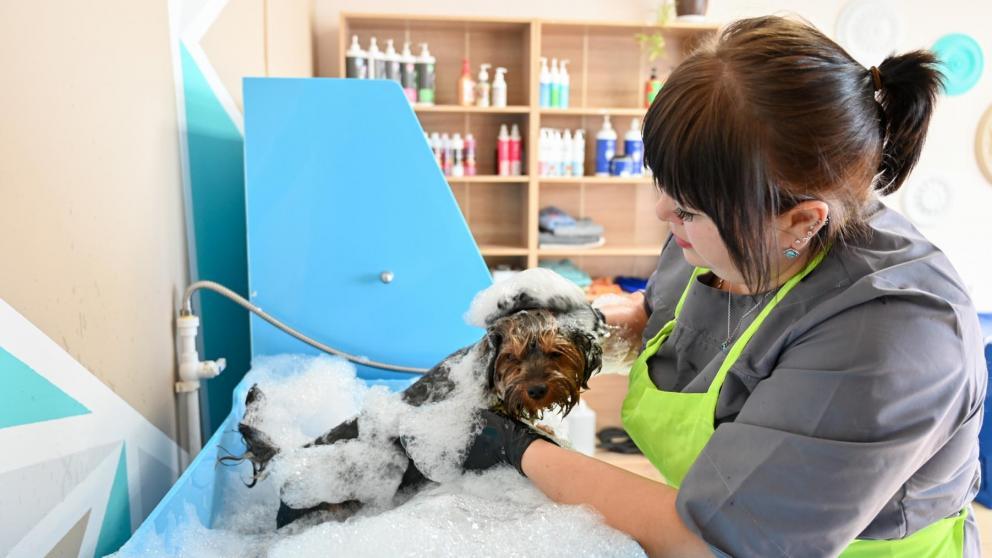 Соцконтракт помог жительнице Изобильного превратить любимое дело в бизнес