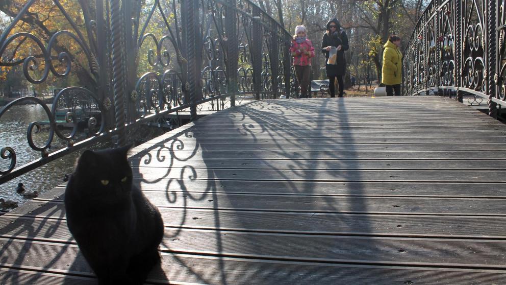 Глава Невинномысска призвал горожан поддерживать порядок на территории города