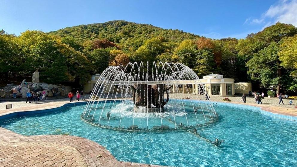 Санатории Железноводска занимают лидирующие позиции по загрузке с начала 2022 года