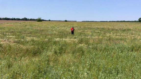 В Нефтекумском округе возбудили три уголовных дела против главы КФХ