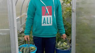 Постояльцы Балахоновского психоневрологического интерната трудятся в теплицах