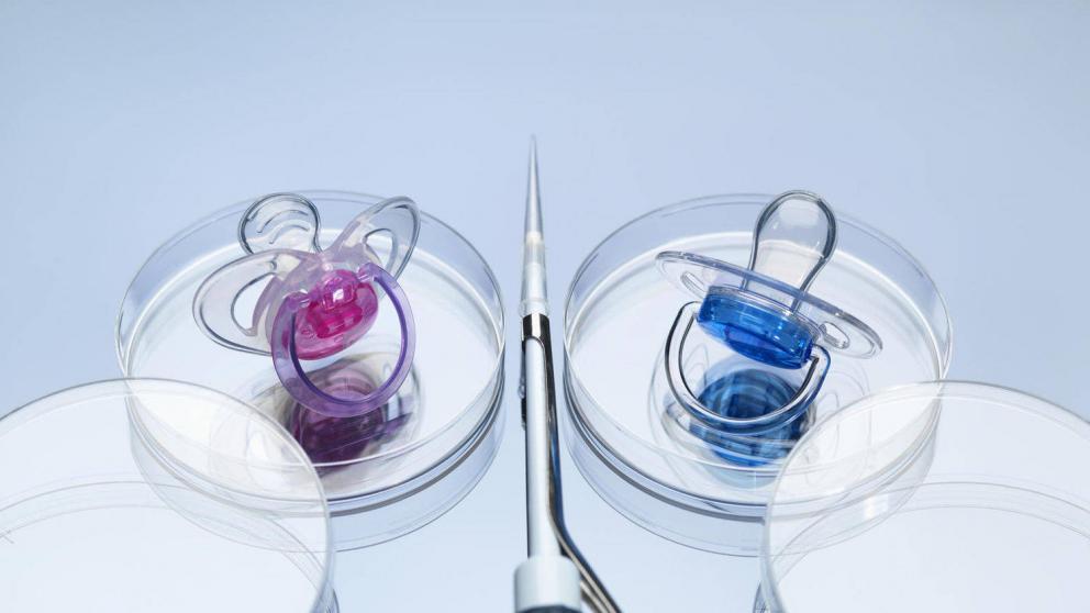 Минздрав Ставрополья: В первом квартале 2020 года почти 350 женщин прошли процедуру ЭКО или криопереноса