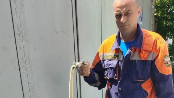 Змею во дворе частного дома в Ессентуках отловили спасатели