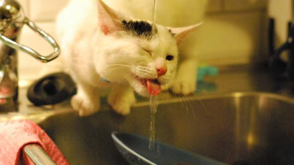 В Юго-Западном районе Ставрополя 27 мая отключат воду