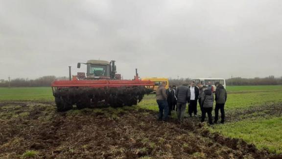 В Кочубеевском округе ученики агрокласса ознакомились с ходом сельхозработ