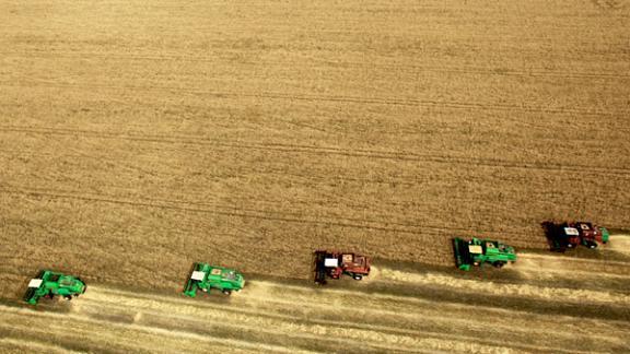 Жатва 2016: На Ставрополье пройдена треть хлебного пути