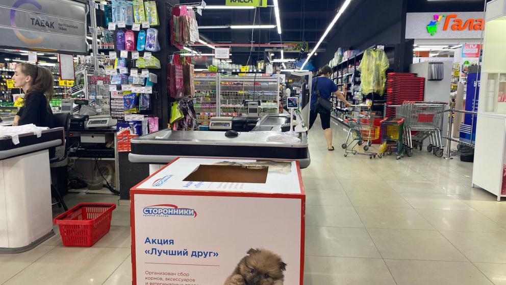 В Ставрополе ко Всемирному дню бездомных животных организовали акцию