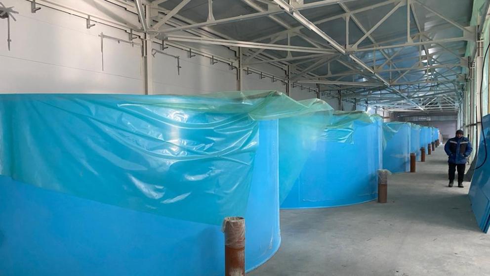 Ферму по разведению форели строят в Предгорном округе Ставрополья