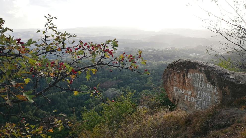 Кисловодск вошёл в топ-10 самых популярных направлений для отдыха в ноябре