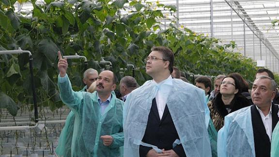 Ставропольский бизнес жалуется В. Владимирову на невыгодные условия предоставления энергоресурсов