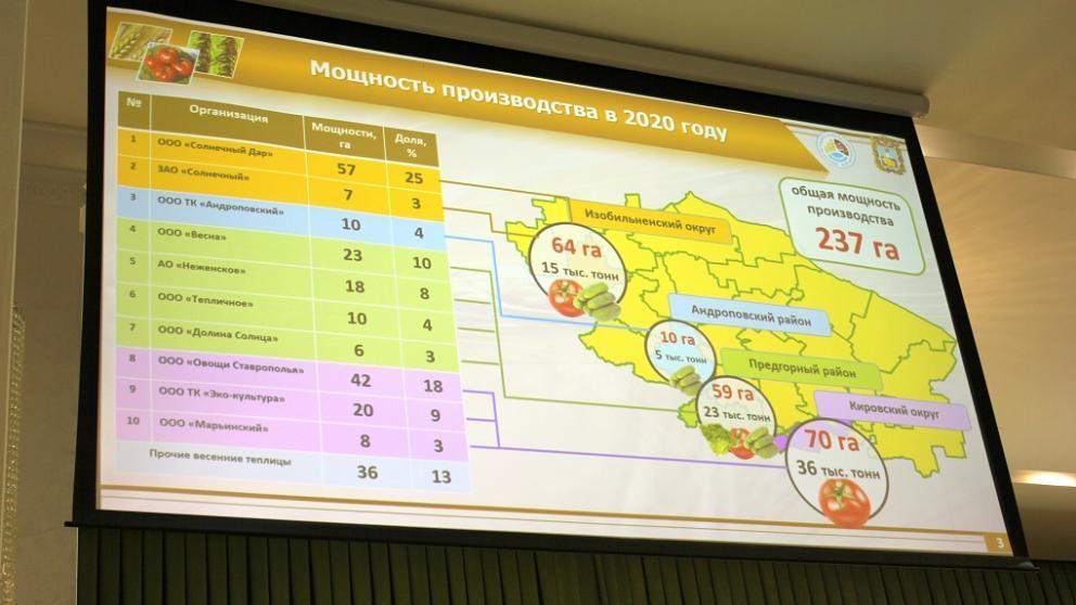 Тепличные комплексы Ставрополья увеличат производство овощей на 60 процентов