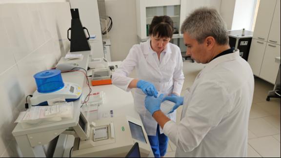 На Ставрополье впервые в мире полностью расшифровали геном породы крупного рогатого скота