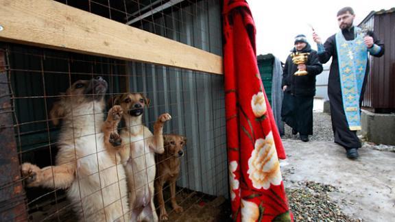 В Ставрополе освятили приют для животных «Лучший друг»