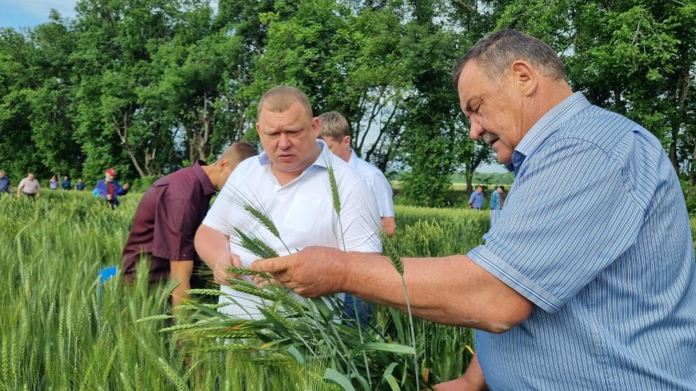 В Предгорном округе специалисты оценили готовность сельхозпредприятий к жатве