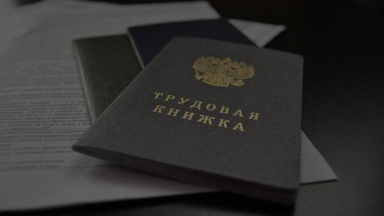 Ведение трудовой книжки в электронном виде выбрали более 27 тысяч ставропольцев