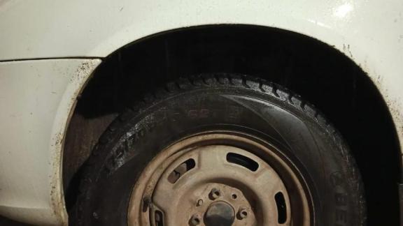 Мероприятие «Начинающий водитель» проведут в Петровском округе