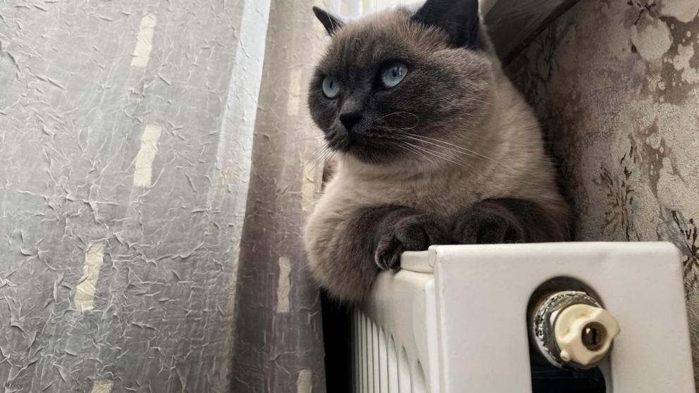 Подачу тепла в Ессентуках полностью восстановили за ночь