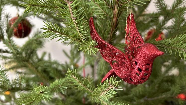 В Ставрополе продолжается благотворительная акция «Радость добрых дел»