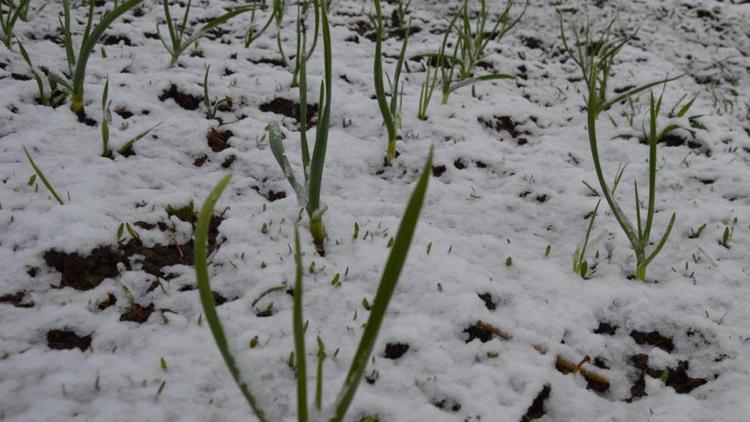 Губернатор Ставрополья дал поручения по подготовке региона к погодным условиям