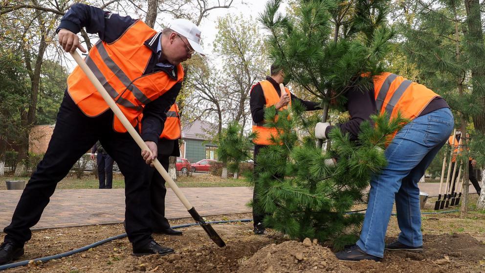 Владимир Владимиров рассказал о субботнике в селе Дивном