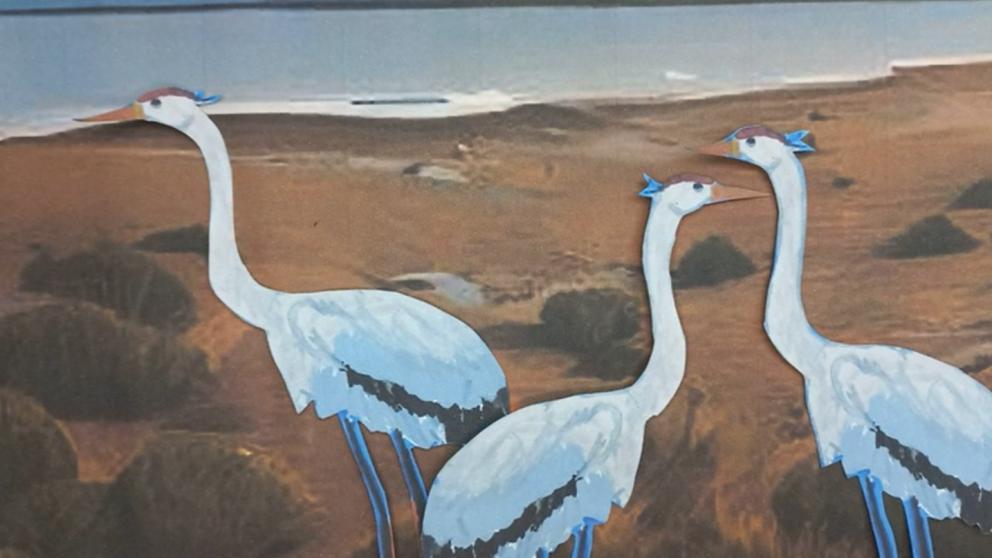 В библиотеке села Дивного создали мультфильм к юбилею Апанасенковского округа