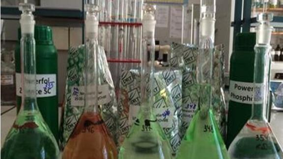 На Ставрополье улиточная ферма сотрудничает с учеными в рамках импортозамещения