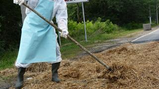Заслон ящуру ставят в Пятигорске на границе с Кабардино-Балкарией